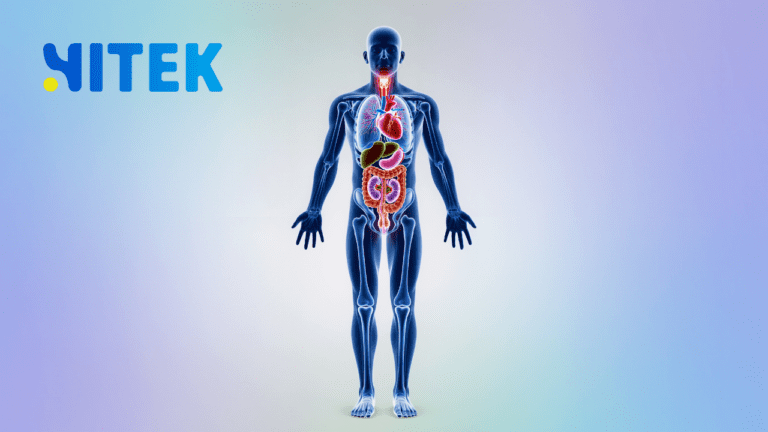 Ethical and Legal Issues to Consider When Implementing Medical AI